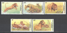 Wb326 2002 Congo Lions Wild Cats Animals Fauna 1Set Mnh - Altri & Non Classificati