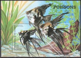 Wb347 1998 Guinea Fauna Fish & Marine Life 1Bl Mnh - Vie Marine