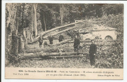 Guerre Parc De Compiegne 12 Arbres Séculaires Déchiquetés Par Un Gros Obus Allemand Rare    1917      N° 1004 - Compiegne