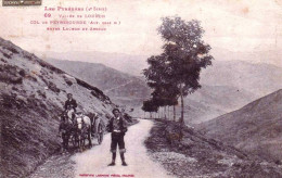 65 - Hautes Pyrenées - Vallée De Louron - Col De PEYRESOURDE Entre Luchon Et Arreau - Other & Unclassified