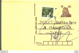 India Postal Stationery Tiger 15 To Jaipur - Ansichtskarten