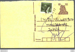 India Postal Stationery Tiger 15 To Jaipur - Ansichtskarten