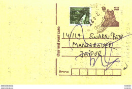 India Postal Stationery Tiger 15 To Jaipur - Ansichtskarten