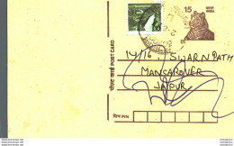 India Postal Stationery Tiger 15 To Jaipur - Ansichtskarten