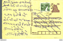 India Postal Stationery Tiger 15 - Ansichtskarten