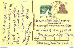 India Postal Stationery Tiger 15 To Gangapur City - Ansichtskarten