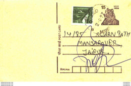 India Postal Stationery Tiger 15 To Jaipur - Ansichtskarten