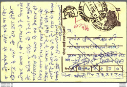 India Postal Stationery Tiger 15 Hindaun Cds - Ansichtskarten