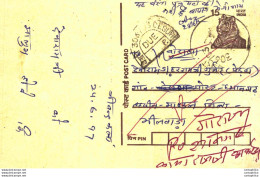 India Postal Stationery Tiger 15 - Ansichtskarten