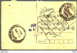 India Postal Stationery Tiger 15 Jaipur Cds - Ansichtskarten