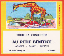 10160 ● ● Rare CASTRES 81-Tarn AU PETIT BENEFICE Toute La Confection 24 Rue GAMBETTA - GIRAFE N° 12 Buvard-Blotter - Textile & Vestimentaire