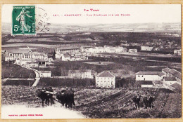 10202 ● GRAULHET Vue Labour Attelage Boeufs Générale Sur Usines 1911 à PUECH Du VERDIER Rue Ste Rose Clermont-Ferrand - Graulhet