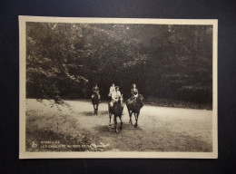 België - Belgique - Brussel  CPA  Les Cavaliers Au Bois De La Cambre . - Parks, Gärten