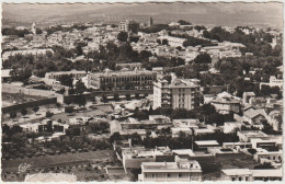 Algérie   :  TLEMCEN : Vue - Tlemcen