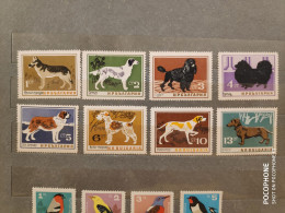 1964	Bulgaria	Dogs  (F91) - Unused Stamps