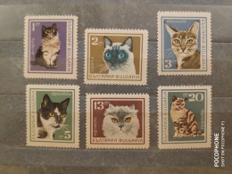 1967	Bulgaria	Cats  (F91) - Nuovi