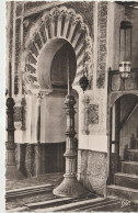 Algérie   :  TLEMCEN : Vue  Mosquée ,le  Marchrol - Tlemcen