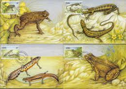 Irlande 1995 Y&T 912 à 915 Sur Cartes Maxima. Reptiles Et Batraciens. Crapaud, Grenouille, Lézard, Triton - Frogs