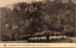 Le Chemin De Fer De La Grotte De Han - Les Rochers De Faule - Rochefort