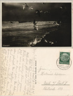 Ansichtskarte  Tiere - Vögel Möwen-Spiel An Der See 1935 - Vogels