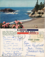 Washington (State) PACIFIC OCEAN SEACOAST Washington State USA 1960 - Andere & Zonder Classificatie