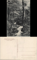 Ansichtskarte Olbernhau Wasserfall Beim Fuchsstein 1913 - Olbernhau