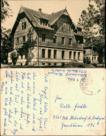 Hohenstein-Ernstthal Partie Am Bethlehemstift-Hüttengrunde DDR AK 1963/1964 - Hohenstein-Ernstthal