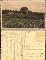 Zinnwald-Georgenfeld-Altenberg (Erzgebirge) Lugstein-Baude, Hochmoor 1943 - Altenberg