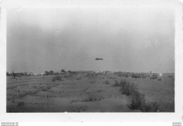 AVION CAPRONI CA-309 GHIBLI   ARMEE ITALIENNE  PHOTO ORIGINALE  9.50 X 6.50 CM - Luftfahrt