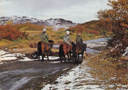 Iceland - Pjorsardal 1968 - Islandia