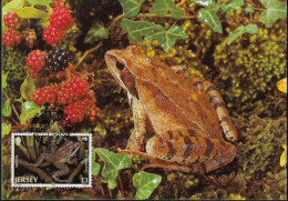 Jersey 1989 Y&T 471, Carte Maximum. Jaune Rare Jersiaise. WWF. Rana Dalmatina Ou Grenouille Agile Ou Grenouille Pisseuse - Ranas