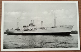 271 - M.S Hornstern - Altri & Non Classificati