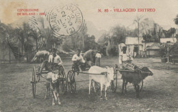Attelages Zebu Boeuf Village Erythrée Exposition Milan 1906 - Erythrée