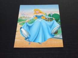 75033-   DISNEY, PRINCESS - Other & Unclassified