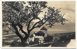 Liechtenstein 1929: Bild-PK / CPI Schloss Vaduz, Fürstentum Liechtenstein Zu 67 Mi 68 Yv 64 Mit Stempel VADUZ 16.VII.29 - Storia Postale