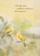 BIRD Animals Vintage Postcard CPSM #PBR469.A - Birds