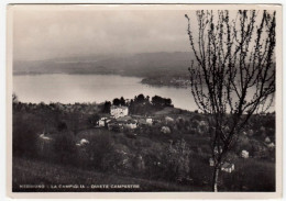 NEBBIUNO - LA CAMPIGLIA - QUIETE CAMPESTRE - NOVARA - 1953 - Novara