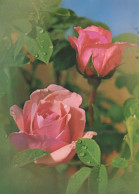 FLORES Vintage Tarjeta Postal CPSM #PAS133.ES - Fleurs