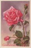FLOWERS Vintage Postcard CPA #PKE655.GB - Blumen