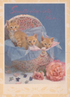 CHAT CHAT Animaux Vintage Carte Postale CPSM #PAM402.FR - Chats