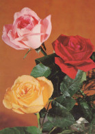 FLOWERS Vintage Ansichtskarte Postkarte CPSM #PAS015.DE - Flowers