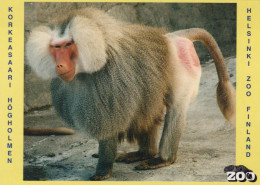 AFFE Tier Vintage Ansichtskarte Postkarte CPSM #PAN991.DE - Monkeys