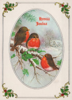 VOGEL Tier Vintage Ansichtskarte Postkarte CPSM #PAM907.DE - Vogels