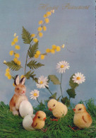 PÂQUES POULET ŒUF Vintage Carte Postale CPSM #PBO585.FR - Easter