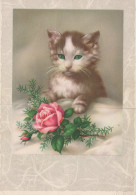 GATTO KITTY Animale Vintage Cartolina CPSM #PAM278.IT - Katten