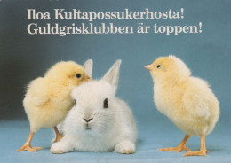 OSTERN HUHN EI Vintage Ansichtskarte Postkarte CPSM #PBO836.DE - Ostern