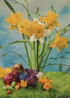 OSTERN EI Vintage Ansichtskarte Postkarte CPSM #PBO144.DE - Easter