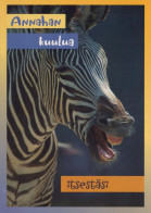 ZEBRA Animale Vintage Cartolina CPSM #PBR932.IT - Zebras