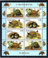 Tajikistan 2024 . Turtles ( Insects,  Butterflies ). M/S Of 8 - Tagikistan