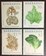 Barbados 2008 Algae Plants MNH - Sonstige & Ohne Zuordnung